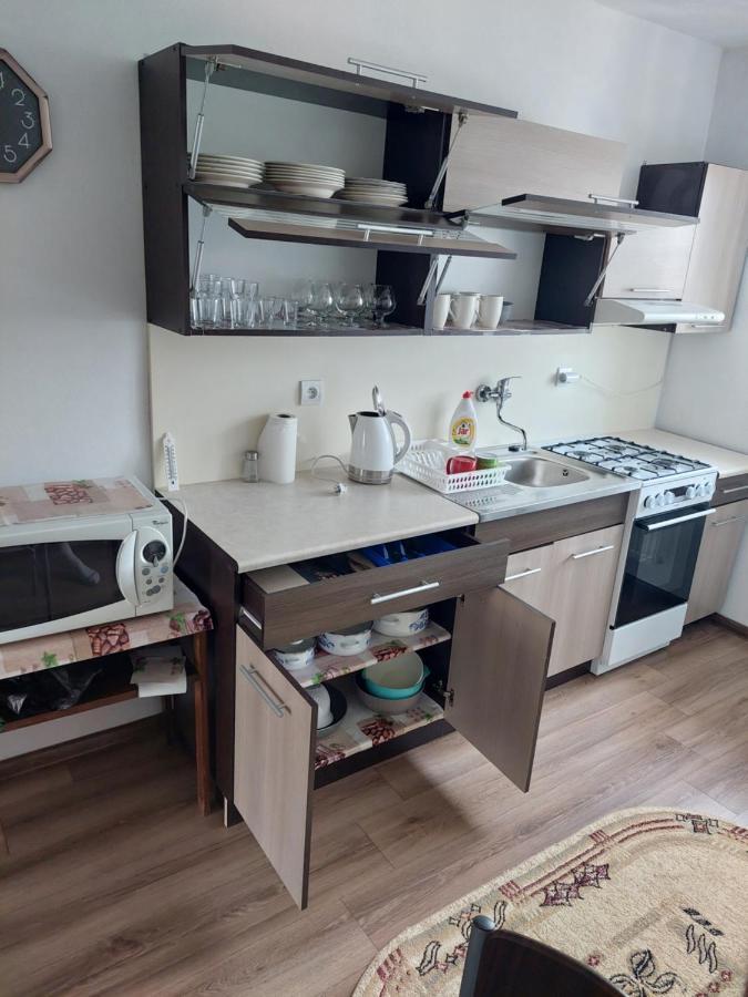 Vaclavskeho Apartment Medzilaborce Exteriér fotografie